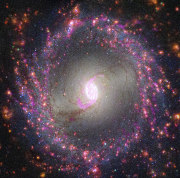 Multiwavelength View of NGC 3351 Digital Download