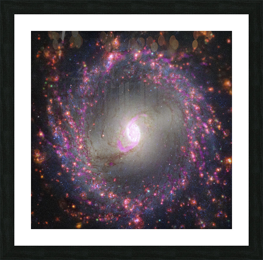 Multiwavelength View of NGC 3351 Picture Frame print