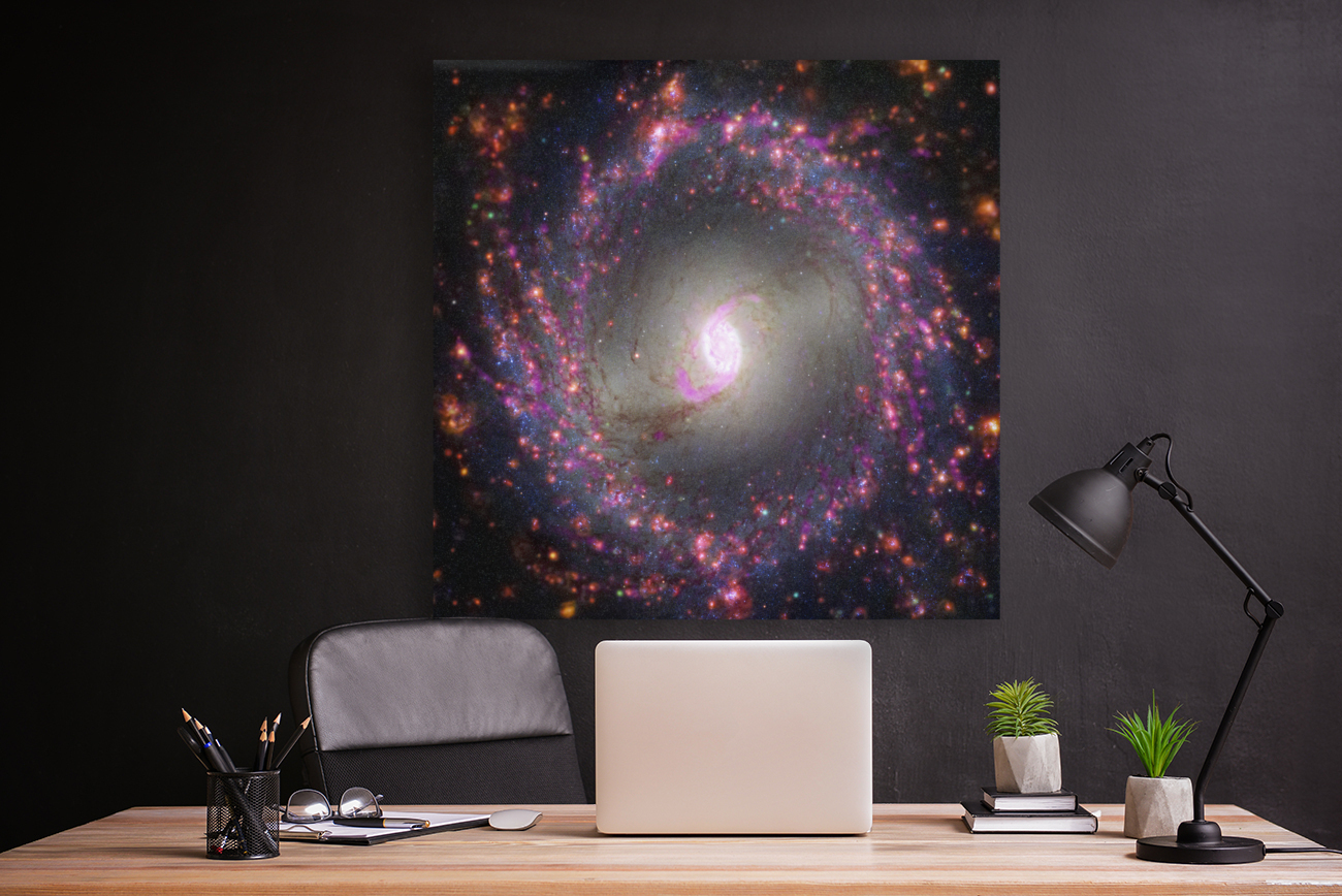 Multiwavelength View of NGC 3351 Reproduction