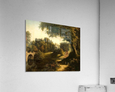  Old forest Acrylic Print