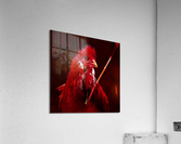 cock red Acrylic Print