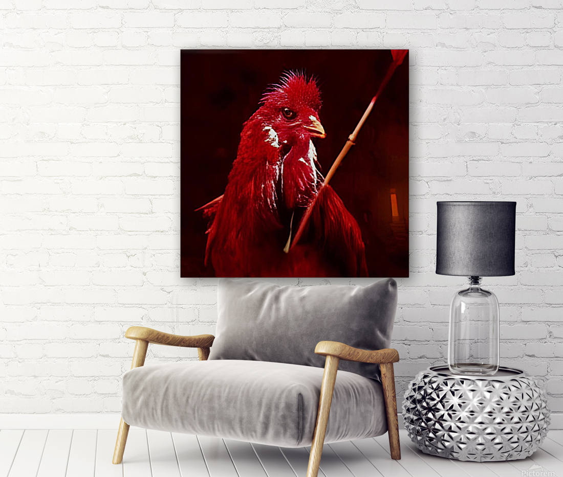 cock red Reproduction