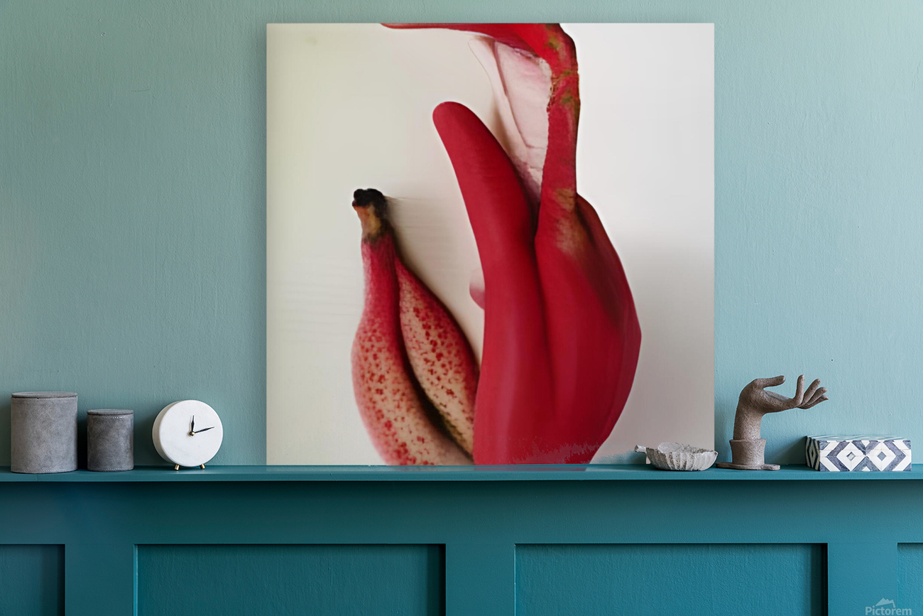 red bananas Reproduction