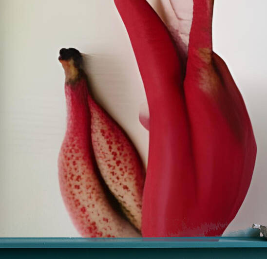 red bananas by d9Id9I vanya