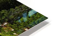 forest lake landscape HD Metal print
