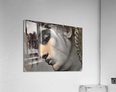 IMG 0814   grey fixed  4 Acrylic Print