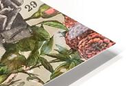 IMG 4072 HD Metal print