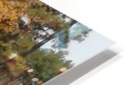 Georgia Fall HD Metal print