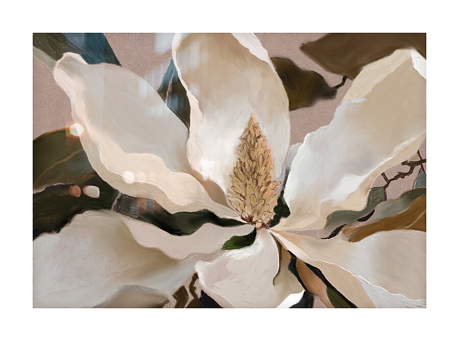 Magnolia Bloom  Picture Frame print
