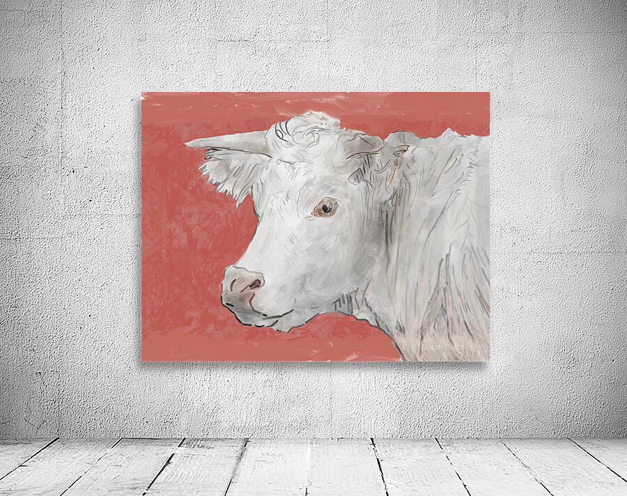 White Steer Wall Preview