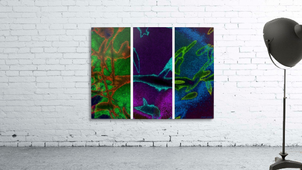 Trifecta Wall Preview