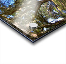 The Oaks At Fort Prince Frederick Port Royal South Carolina  Acrylic print