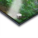  Camouflage Alligator Acrylic print