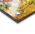 Beechbottom Falls Pickens County South Carolina  Acrylic print