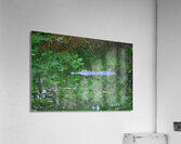  Camouflage Alligator Acrylic Print