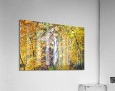 Beechbottom Falls Pickens County South Carolina  Acrylic Print