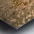 Fort Frederick Port Royal South Carolina Wall Metal print