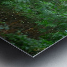  Camouflage Alligator Metal print