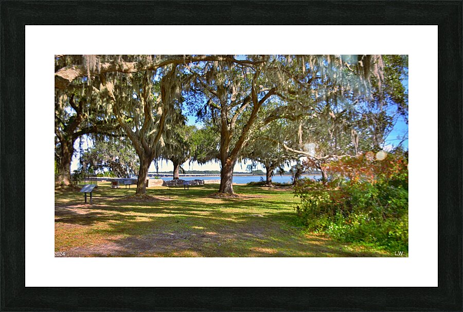 The Oaks At Fort Prince Frederick Port Royal South Carolina  Picture Frame print