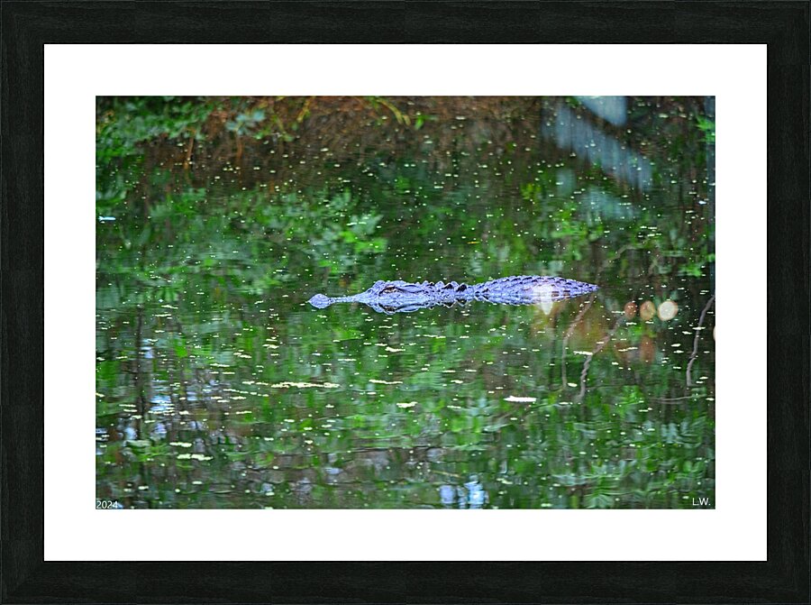  Camouflage Alligator Picture Frame print