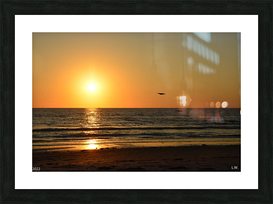 Gliding Into The Sunset Picture Frame print