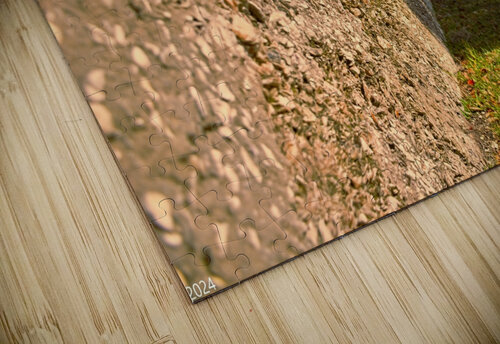 Fort Frederick Port Royal South Carolina Wall Lisa Wooten Photography puzzle