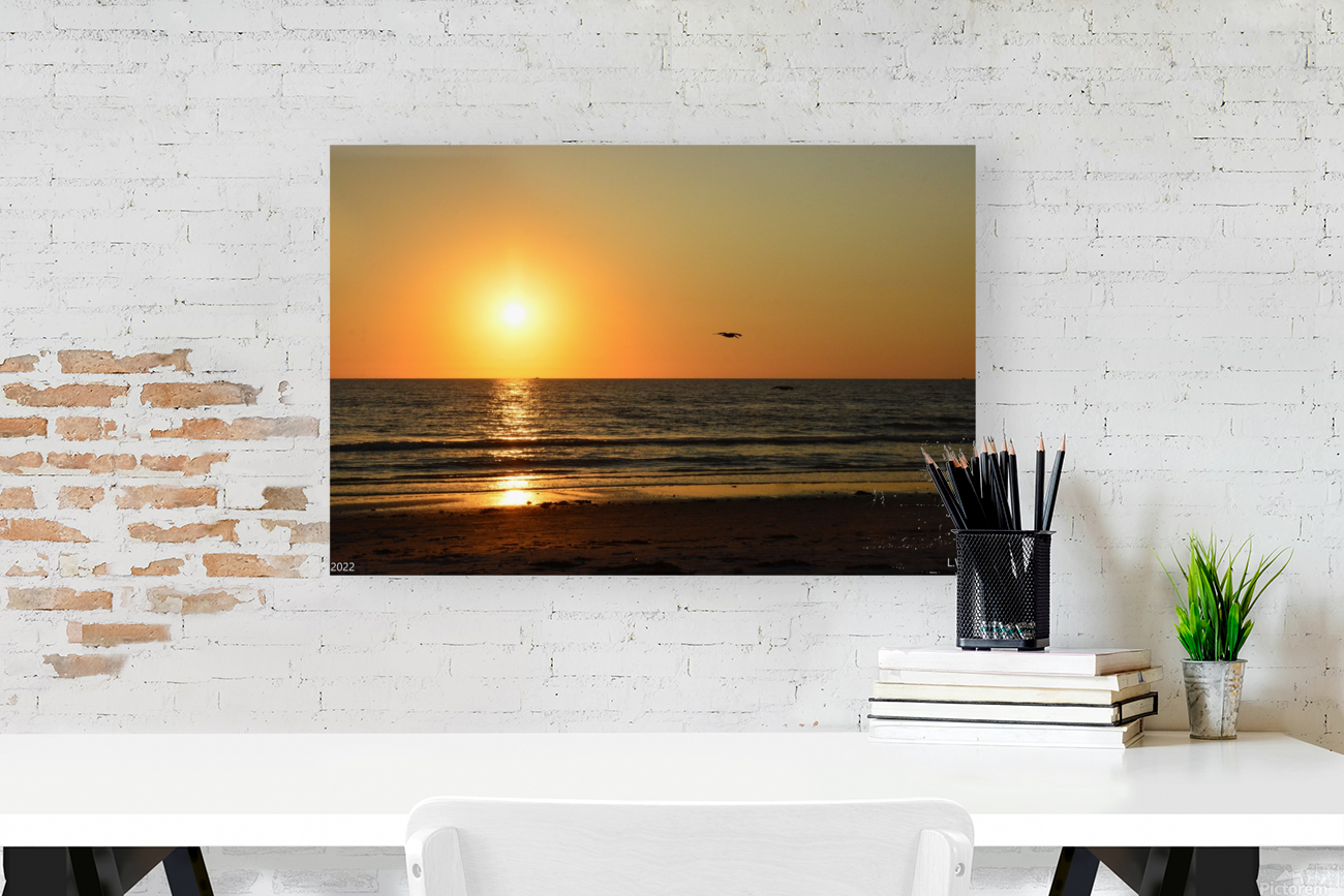 Gliding Into The Sunset Reproduction