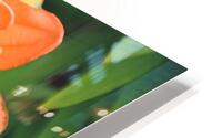  Lily Doubles HD Metal print