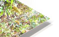  Natures Landscape HD Metal print