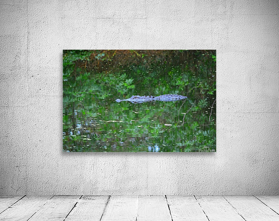  Camouflage Alligator Wall Preview