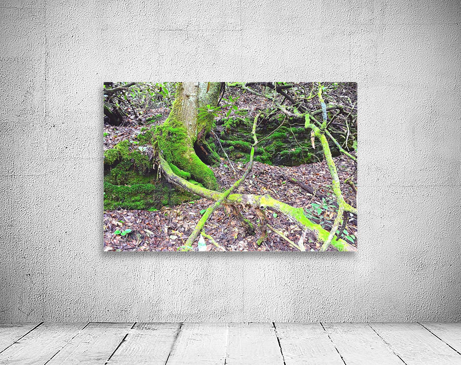  Mossy Nature Wall Preview