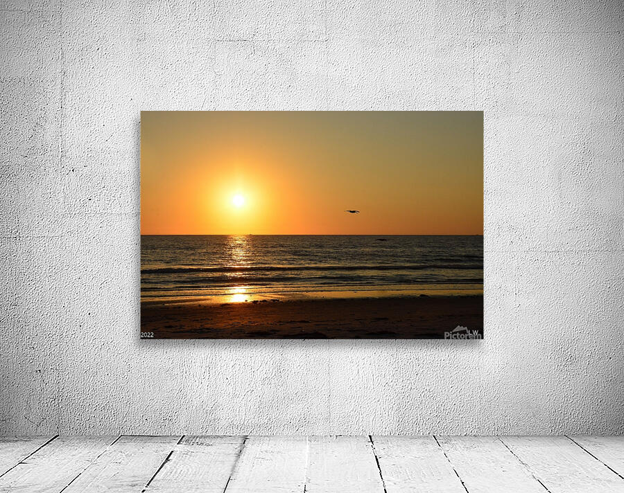 Gliding Into The Sunset Wall Preview
