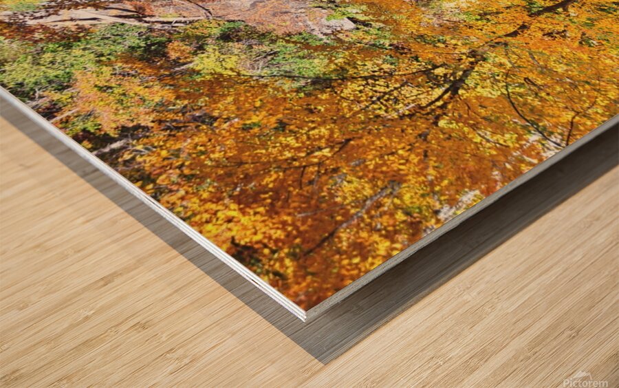 Beechbottom Falls Pickens County South Carolina  Wood print