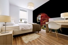 Parrot Abstracto Mural print