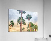 Grandissant Acrylic Print