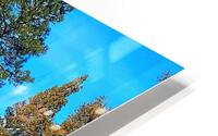 Aventure HD Metal print