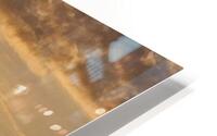 Collection symbiose HD Metal print