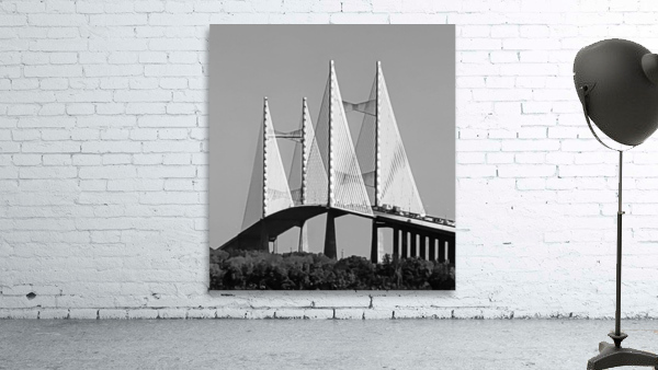 Dames point Bridge Wall Preview