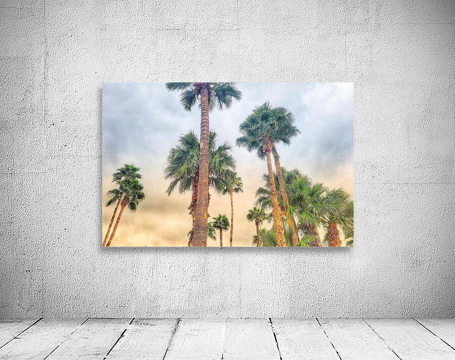 Grandissant Wall Preview