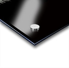 Crown of the Shah of Iran Acrylic print