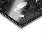 The White Guardian Acrylic print