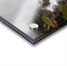 The Roar of Nature Acrylic print