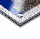  Silent White Acrylic print