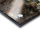 Autumn Behind the Snow Acrylic print