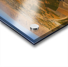 Circle of Life Acrylic print