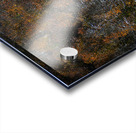 Frozen Autumn Acrylic print