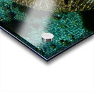 Living Stone Acrylic print