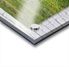 Gentle Giants Acrylic print