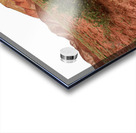 Roots of Fire Acrylic print