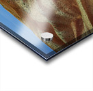 Trail of Silence Acrylic print